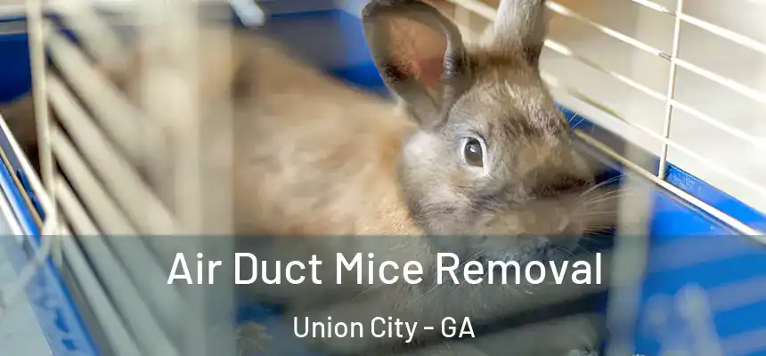  Air Duct Mice Removal Union City - GA