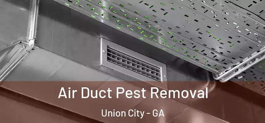  Air Duct Pest Removal Union City - GA