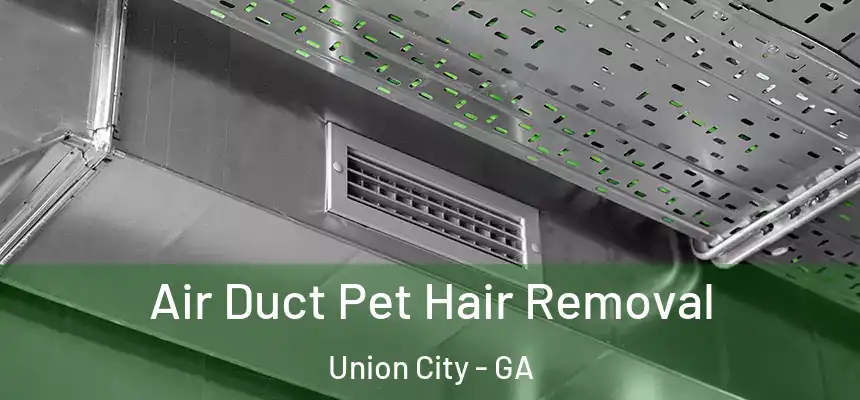 Air Duct Pet Hair Removal Union City - GA