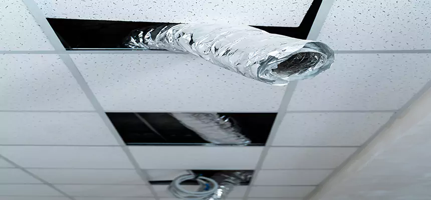 Affordable HVAC Sanitizing After Pest Removal in Union City