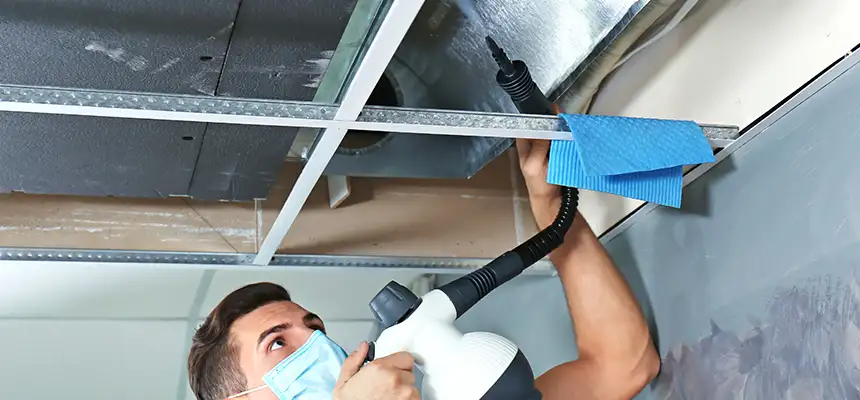 Our Air Duct Rodent Removal Services in Union City, GA