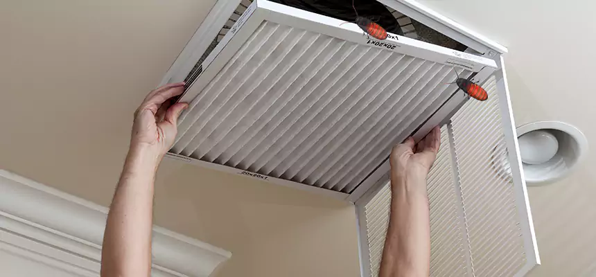 Our Insect Removal from Air Ducts Services in Union City, GA