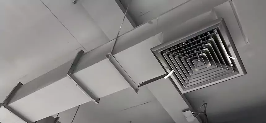 Our Rodent Droppings In Vents Services in Union City, GA