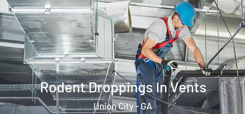  Rodent Droppings In Vents Union City - GA