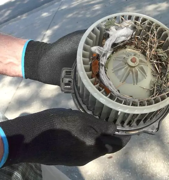 About Air Duct Rat Removal in Union City, GA