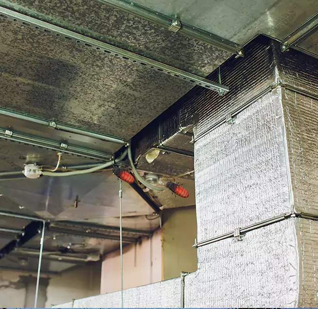 Why Homeowners & Businesses Trust Us in Union City, GA?