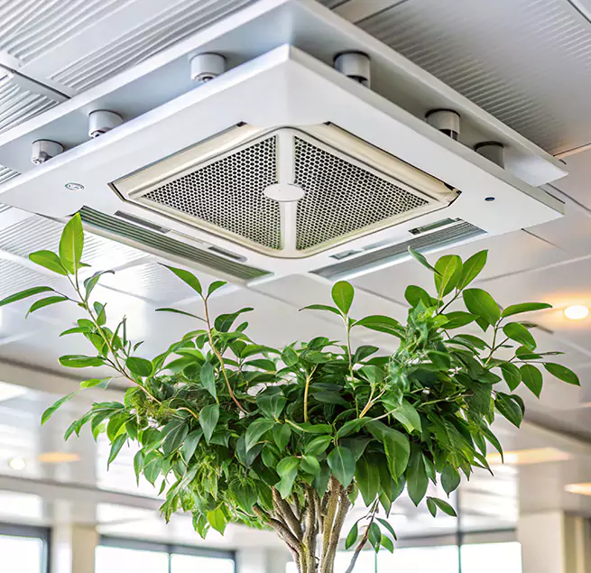 Why Homeowners & Businesses Trust Us in Union City, GA